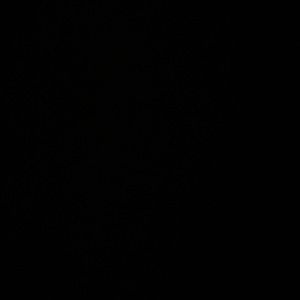 Meet your Posher, Jaden